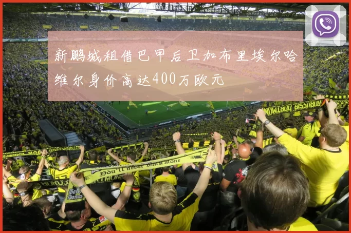 新鹏城租借巴甲后卫加布里埃尔哈维尔身价高达400万欧元