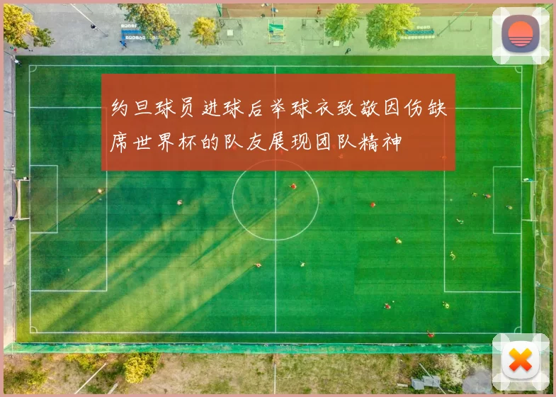 约旦球员进球后举球衣致敬因伤缺席世界杯的队友展现团队精神