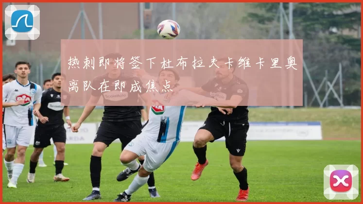 热刺即将签下杜布拉夫卡维卡里奥离队在即成焦点